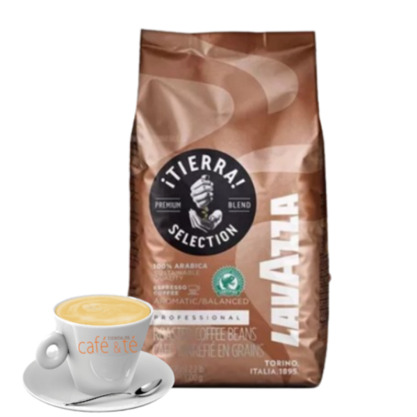 Café en grano Lavazza Italia Tierra Intenso Bolsa 1kg